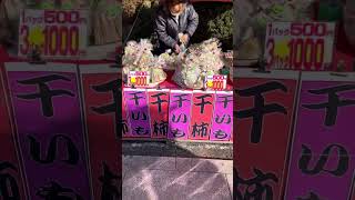 高幡不動尊　初詣　出店は！