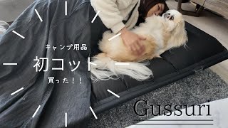 初めてコットを買った！キャンプと来客用を兼ねて｜DOEARTH Gussuri【チワックスとペキシーズー】chifuachshund\u0026pekishihzu