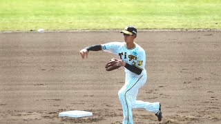 【阪神】小幡竜平、安定した送球で試合前の遊撃シートノック！