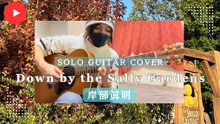 Down by the Salley Gardens (Solo Guitar)