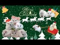 【xmas】ジャンガリアハムスターたちのメリークリスマス