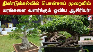 திண்டுக்கல்லில் பொன்சாய் முறையில் மரங்களை வளர்க்கும் ஓவிய ஆசிரியர்! | Sathiyam TV | Dindigul