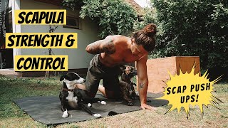 Scapula Strengthening Exercise | Single Arm Scapula Push Up