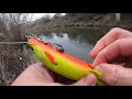 pike fishing with the westin bullteez 10inch swimbait