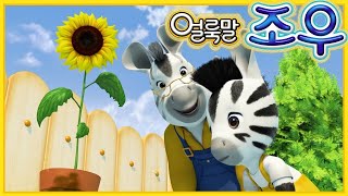 해바라기 골디 🌻 얼룩말조우 🌻 어린이 만화 | 어린이를위한 만화