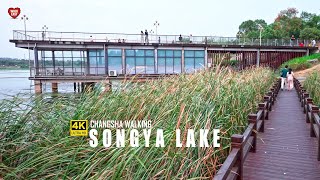 Songya Lake Walking Tour, Changsha's Best Wetland Park | 4K HDR