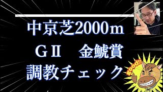 【anatube】金鯱賞2022調教チェック、追い切り診断！浅次郎の特A評価はサンレイポケット！ステラリア！調教爆穴馬は？