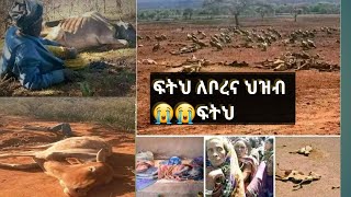 ፍትህ ለቦረና ህዝብ 😭😭ፍትህ ለቦረና ህዝብ ሁላቹሁም ዝም አላቹሁ ኤረ ድምፅ  እንሁን ለወገኔ😭