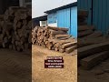 premium quality teak wood wholesaler imported teak wood sudan teak indian teak wood mp teak