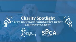 Charity Spotlight Webinar - Nova Scotia SPCA