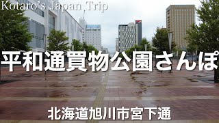 北海道さんぽ 平和通買物公園さんぽ【北海道旭川市宮下通】2023/7 街ぶらさんぽ