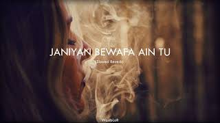 Janiyan Bewafa Ain Tu || (Slowed Reverb) - Song