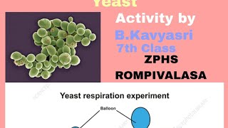 ANAEROBIC RESPIRATION IN YEAST BY B.KAVYASRI# EXPERIMENTS WITH LITTLE HANDS