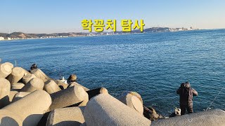 기장 칠암방파제👉학꽁치낚시\u0026숭어낚시👈