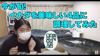 【生配信】今が旬イナダをさばいて刺身と寿司とカルパッチョとバターソテーにしてみた！