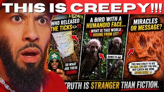 CREEPY AND STRANGE TIK TOKS THAT WILL MAKE YOU QUESTION REALITY!