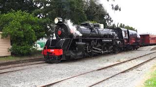 Tinwald Festival At The Plains Railway. 2018 Ja 1260