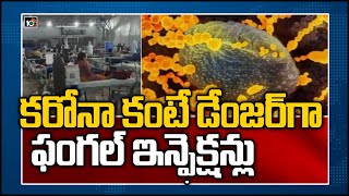 కరోనా కంటే డేంజర్‌గా ఫంగల్ ఇన్ఫెక్షన్లు | Fungal infections more Dangerous than Covid | 10TV News