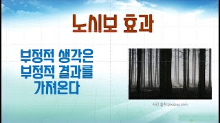 부정적 생각을 하면 부정적 결과가 온다. 긍정적 생각, 노시보 효과, 플라시보 효과의 반대