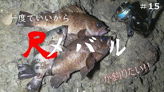 【大爆釣。メバルが無限に釣れる場所】一度でいいから尺メバルが釣りたい!!#15【メバリング】