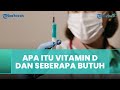 Apa Itu Vitamin D dan Kenapa Tubuh Sangat Membutuhkan Vitamin D