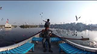 360° Of The Week: Migratory Birds In Delhi