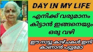 Day in my life  വീഡിയോയുടെ ഇടയിൽ എന്റെ ചെറിയ  വരുമാന വഴികൾ കാണിക്കുന്നുണ്ട്|kerala village life