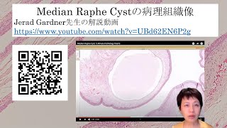 median raphe cyst病理組織像解説