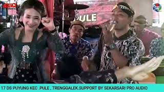 LINTANG ASMORO KISUT MC FEAT ELLA Puspita Nada Campursari live