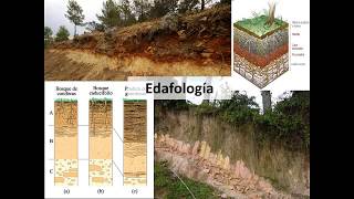 MCRN 04 - Edafologia