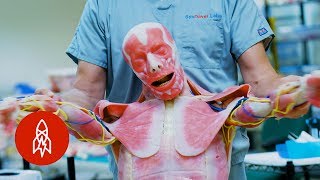 'Westworld' IRL: Creating Lifelike Synthetic Human Cadavers