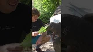 Danny Duncan meets a giant $40,000 Turtle