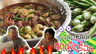 แกงป่าเป็ด สุดเผ็ดร้อน (เมนูเน้นผักรอบรั้ว)