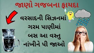 વરસાદની સિઝનમાં ગરમ પાણીમાં બસ આ વસ્તુ નાંખીને પી જાઓ, આખું શરીર અંદરથી થઈ જશે સાફ I નવરત્ન જ્ઞાન