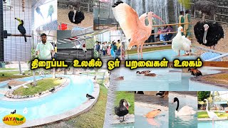 திரைப்பட உலகில் ஓர் பறவைகள் உலகம் | Birds Park | Ramoji Film City | Jaya Plus