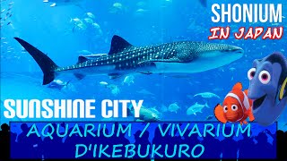 Shonium in Japan | #31 ► SUNSHINE CITY : Aquarium \u0026 Vivarium de Ikebukuro