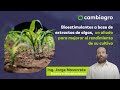 Bioestimulantes a base de extractos de algas, un aliado para mejorar el rendimiento de su cultivo 🌱