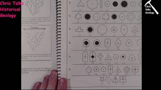 Lab Assignment - Exercise 10