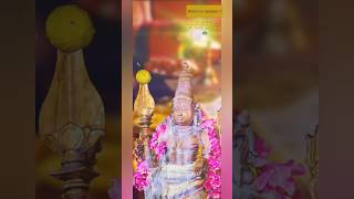 அப்பன் முருகன் #murugan #god #முருகன்பாடல்கள் #tiruchendurmurugan2 #shorts