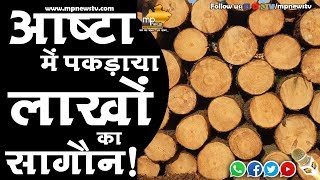 आष्टा में पकड़ाया लाखों का सागौन, ड्राइवर फरार! MP News Ashta