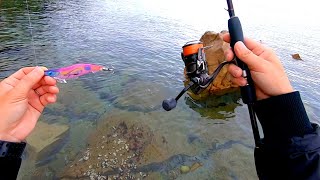 その辺の静かな海でもルアーを投げてみなくちゃ分からない