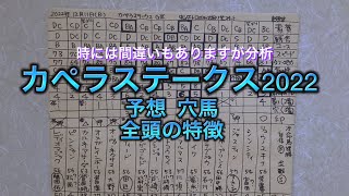 カペラステークス2022穴馬予想。全頭の特徴。時には間違いもありますが分析。