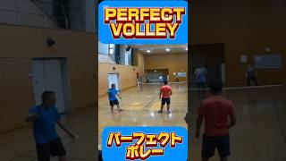 PERFECT　VOLLEY　パーフェクト　ボレー　#ピックルボール #pickleballsamurai #pickleball #dropshot_japan