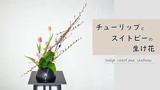 【チューリップとスイトピーの生け花】初心者でもコツが分かればとっても簡単！生け方の基本からアレンジまでサクッと紹介。 ikebana style Japanese flower arrangement