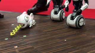 Silverlit Robo Chameleon at Toy Fair 2018 Nuremberg