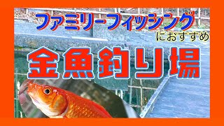 金魚釣り場　彩湖・道満グリーンパーク　ファミリーフィッシングにおすすめ