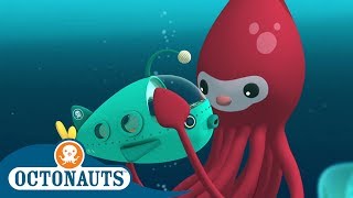 #StayHome Octonauts - The Monster of the Sea | Full Episodes | Cartoons for Kids