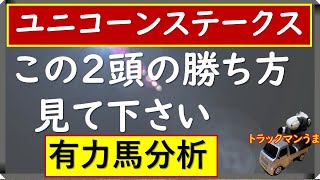 ユニコーンステークス2020　新馬戦10馬身勝ちと大差勝ちの馬が出てきます！