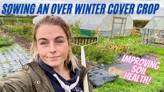 COVER CROPPING on the Flower Farm (Building Soil Health)