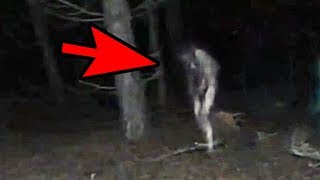 5 Mysterious Creatures Caught On Camera : Top 5 STRANGE Creatures